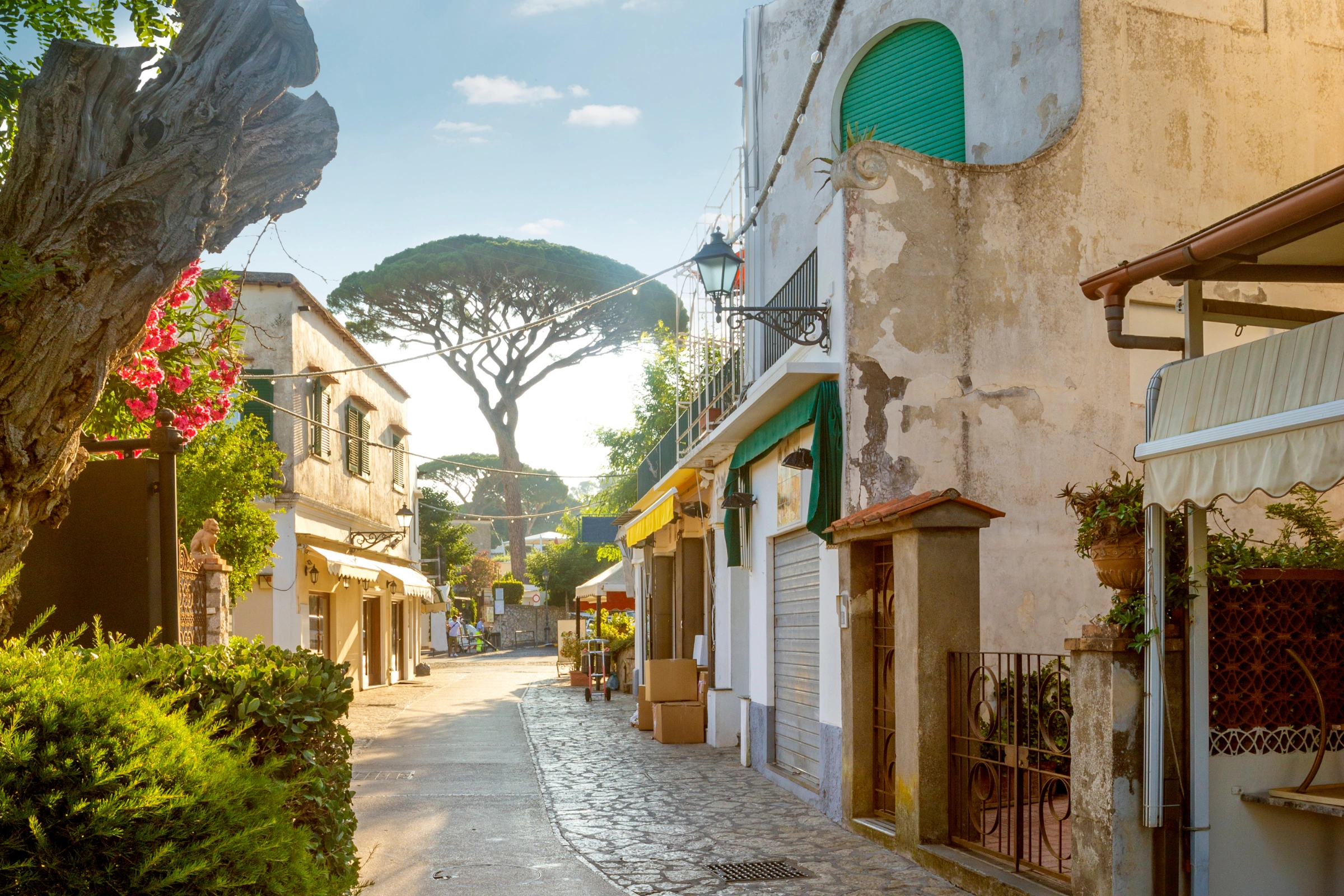 Anacapri[1].webp